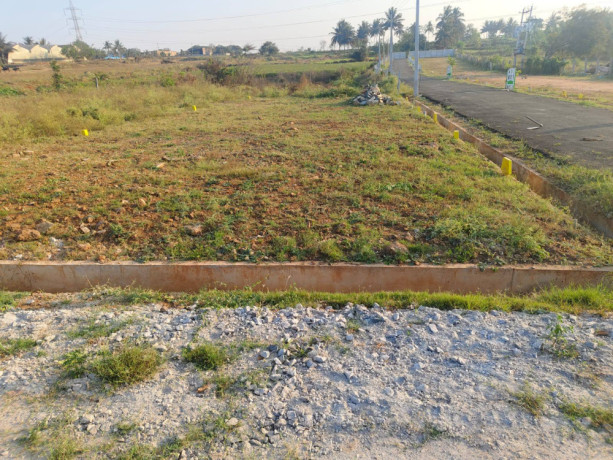 site-sale-im-nelamangala-hosur-bengalore-big-3