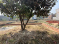 residential-plots-at-meerapuram-bicchiya-gorakhpur-small-3