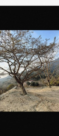plot-for-sale-on-mussoorie-road-dehradun-big-1
