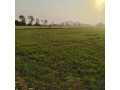 agricultural-land-at-5-km-from-berasia-bhopal-small-1