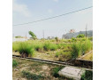 prayagraj-jhalwa-pipal-village-devghat-asraval-bamrauli-small-0