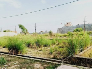 prayagraj-jhalwa-pipal-village-devghat-asraval-bamrauli