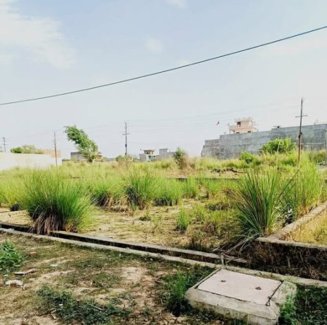 prayagraj-jhalwa-pipal-village-devghat-asraval-bamrauli-big-0