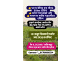 agricultural-comercial-land-nearby-patna-bihar-small-0