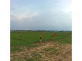 free-registered-plots-flats-duplex-available-in-jamshedpur-all-location-small-2