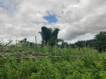land-for-sale-tigdo-village-itanagar-arunachal-pradesh-small-1