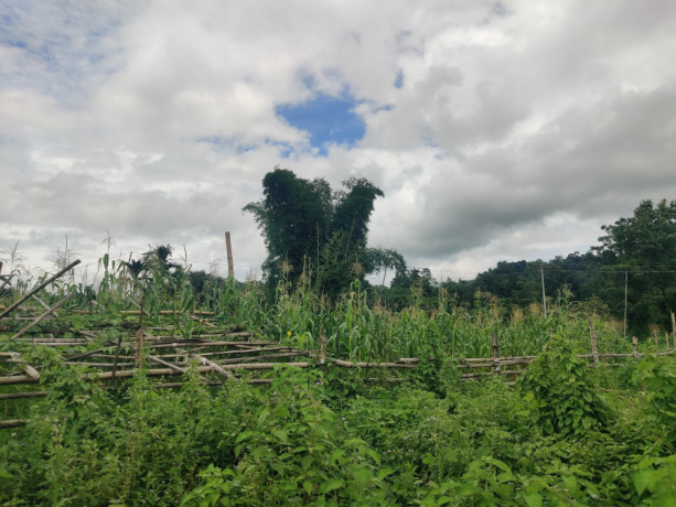 land-for-sale-tigdo-village-itanagar-arunachal-pradesh-big-1