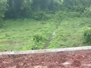 plots-and-house-for-sale-in-goa