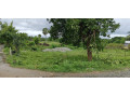 invest-in-property-in-kerala-small-0
