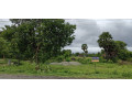 invest-in-property-in-kerala-small-1