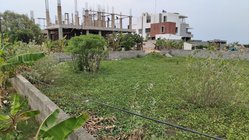 palavakkam-beach-sea-view-land-4-ground-sale-chennai-big-0