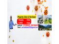 all-property-solutions-at-nainital-uttarakhand-small-0