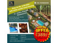 plots-at-rs-350000-inside-holiday-resort-project-with-white-sandalwood-plantation-at-jankia-khordha-bhubaneswar-odisha-small-0