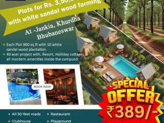 plots-at-rs-350000-inside-holiday-resort-project-with-white-sandalwood-plantation-at-jankia-khordha-bhubaneswar-odisha