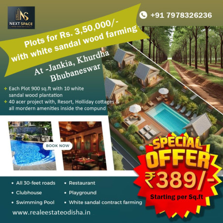 plots-at-rs-350000-inside-holiday-resort-project-with-white-sandalwood-plantation-at-jankia-khordha-bhubaneswar-odisha-big-0