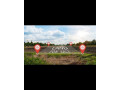 deals-in-all-luxury-premium-listings-in-commercial-and-residential-properties-in-jalandhar-small-3
