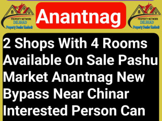deals-with-all-kinds-of-investment-properties-houses-shops-hut-hotel-land-residential-commercial-anantnag-kashmir