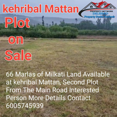 deals-with-all-kinds-of-investment-properties-houses-shops-hut-hotel-land-residential-commercial-anantnag-kashmir-big-2