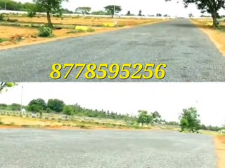 new-township-120-acer-project-ocheri-near-panapakkam-industries-vellore-tamil-nadu
