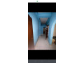 1-bhk-flat-on-rent-in-kolkata-small-0